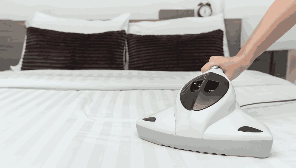 Professional Mattress Cleaning Sandringham